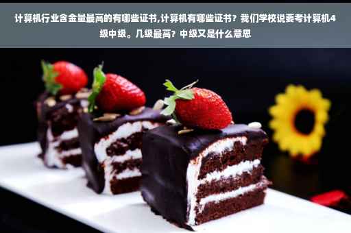 计算机行业含金量最高的有哪些证书,计算机有哪些证书？我们学校说要考计算机4级中级。几级最高？中级又是什么意思