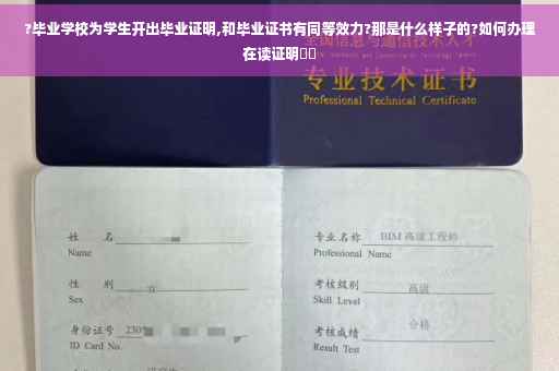 ?毕业学校为学生开出毕业证明,和毕业证书有同等效力?那是什么样子的?如何办理在读证明⚡️