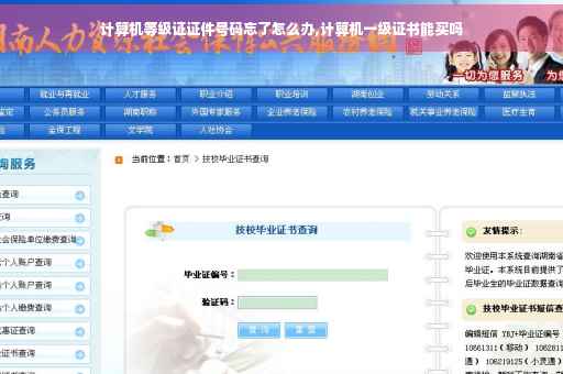 计算机等级证证件号码忘了怎么办,计算机一级证书能买吗