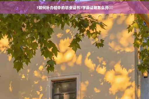 ?如何补办初中的毕业证书?学籍证明怎么开⚡️