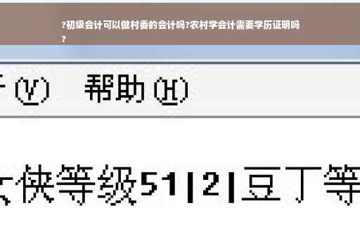 ?初级会计可以做村委的会计吗?农村学会计需要学历证明吗
?