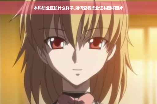 本科毕业证长什么样子,如何查看毕业证书图样图片