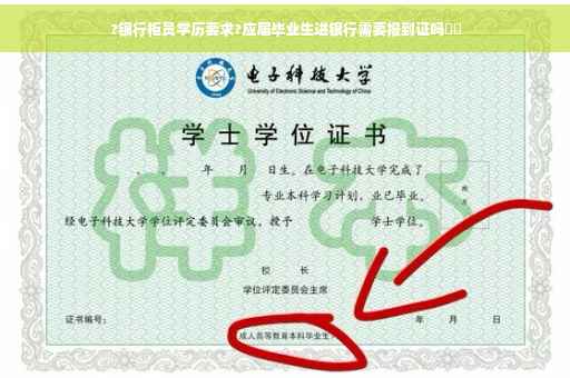 ?银行柜员学历要求?应届毕业生进银行需要报到证吗⚡️