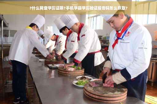 ?什么网查学历证明?手机学籍学历验证报告码怎么获取?