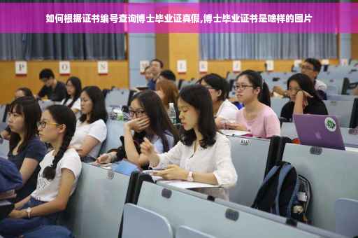 如何根据证书编号查询博士毕业证真假,博士毕业证书是啥样的图片