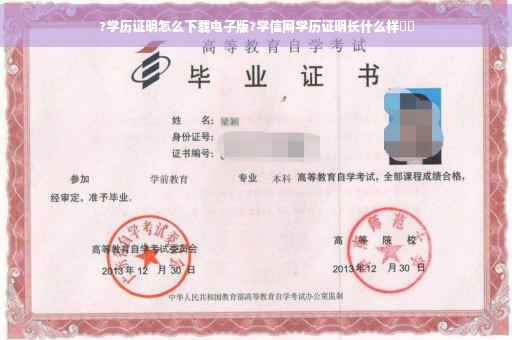 ?学历证明怎么下载电子版?学信网学历证明长什么样⚡️