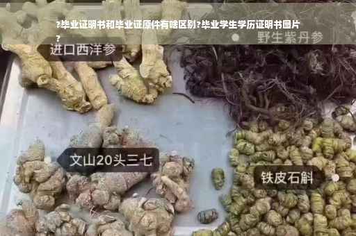 ?毕业证明书和毕业证原件有啥区别?毕业学生学历证明书图片
?