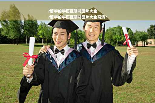 ?留学的学历证明书图片大全
?留学的学历证明书图片大全高清?