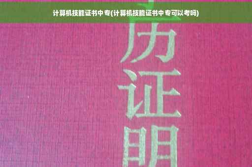计算机技能证书中专(计算机技能证书中专可以考吗)