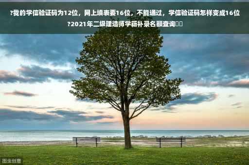 ?我的学信验证码为12位，网上填表要16位，不能通过，学信验证码怎样变成16位?2021年二级建造师学籍补录名额查询⚡️