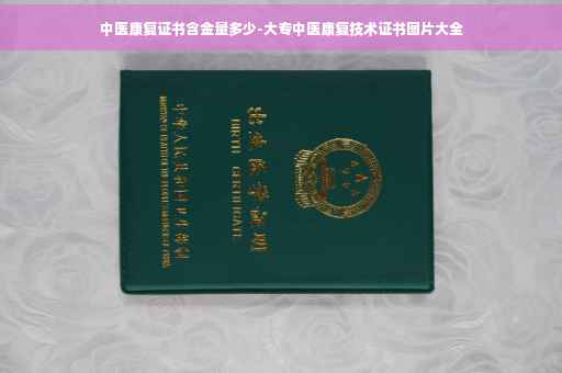 中医康复证书含金量多少-大专中医康复技术证书图片大全