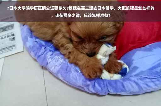 ?日本大学院学历证明公证要多久?我现在高三想去日本留学，大概流程是怎么样的，该花费多少钱，应该怎样准备?
