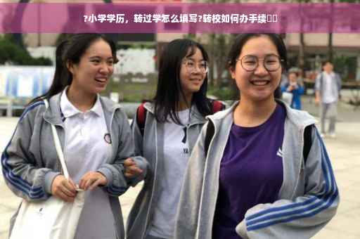?小学学历，转过学怎么填写?转校如何办手续⚡️