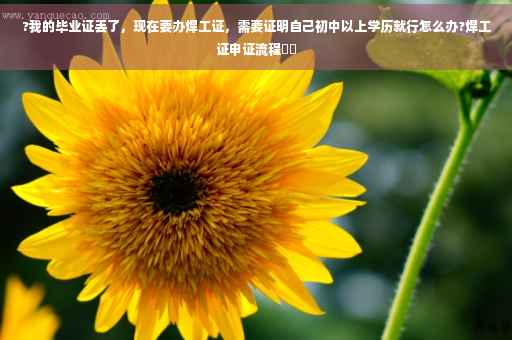 ?我的毕业证丢了，现在要办焊工证，需要证明自己初中以上学历就行怎么办?焊工证申证流程⚡️