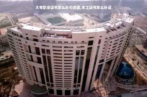 大专职业证书怎么补办流程,木工证书怎么补证