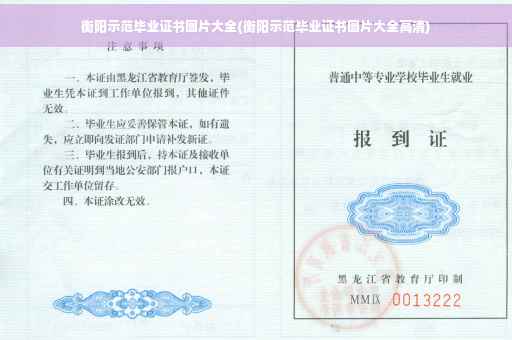 衡阳示范毕业证书图片大全(衡阳示范毕业证书图片大全高清)