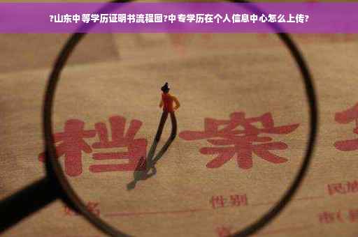 ?山东中等学历证明书流程图?中专学历在个人信息中心怎么上传?