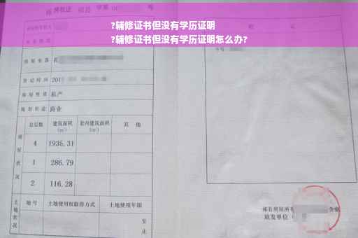 ?辅修证书但没有学历证明
?辅修证书但没有学历证明怎么办?