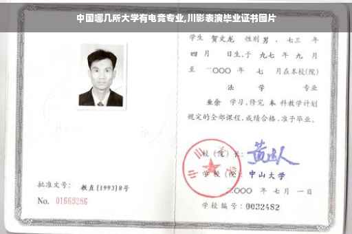中国哪几所大学有电竞专业,川影表演毕业证书图片