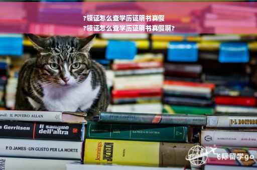 ?领证怎么查学历证明书真假
?领证怎么查学历证明书真假啊?