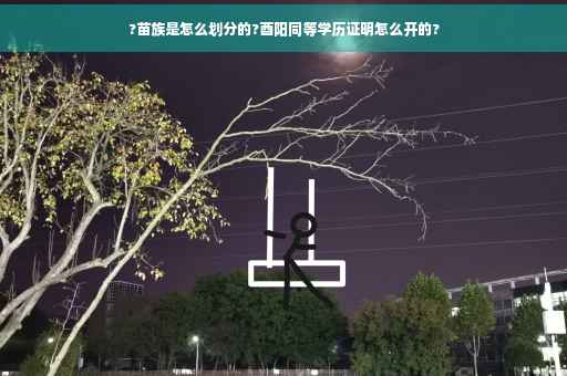 ?苗族是怎么划分的?酉阳同等学历证明怎么开的?