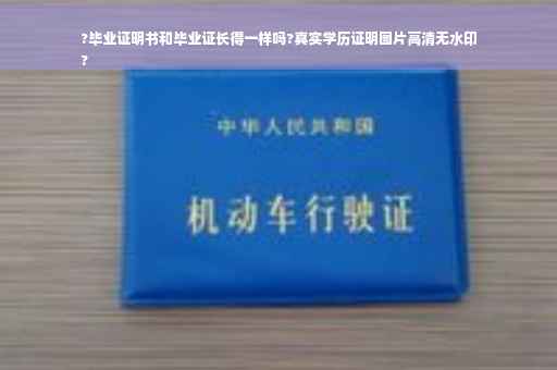 ?毕业证明书和毕业证长得一样吗?真实学历证明图片高清无水印
?