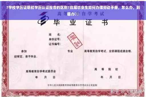 ?学校学历证明和学历认证报告的区别?应届毕业生如何办理劳动手册，怎么办，到哪办⚡️