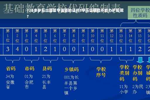 ?20多岁后出国留学需要的证件?学历证明能不能办护照呢
?