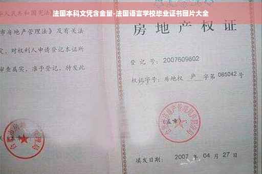法国本科文凭含金量-法国语言学校毕业证书图片大全