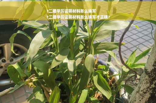 ?二建学历证明材料怎么填写
?二建学历证明材料怎么填写才正确?