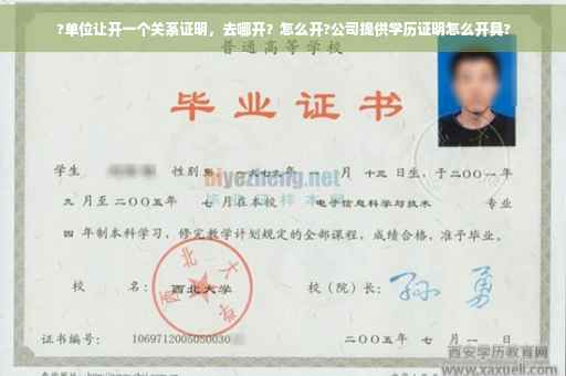 ?单位让开一个关系证明，去哪开？怎么开?公司提供学历证明怎么开具?