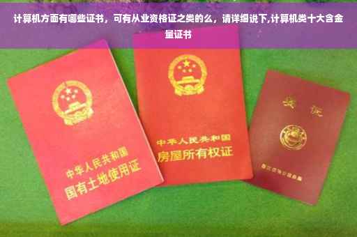 计算机方面有哪些证书，可有从业资格证之类的么，请详细说下,计算机类十大含金量证书