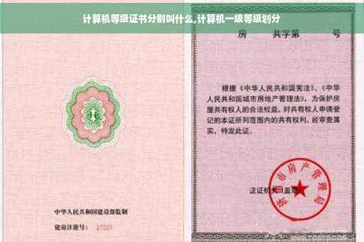 计算机等级证书分别叫什么,计算机一级等级划分