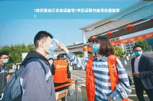 ?如何查自己毕业证编号?学历证明书编号在哪查看
?