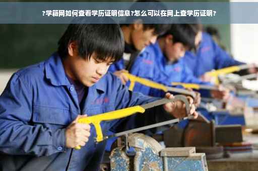 ?学籍网如何查看学历证明信息?怎么可以在网上查学历证明?