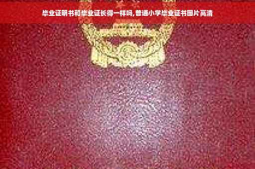 毕业证明书和毕业证长得一样吗,普通小学毕业证书图片高清