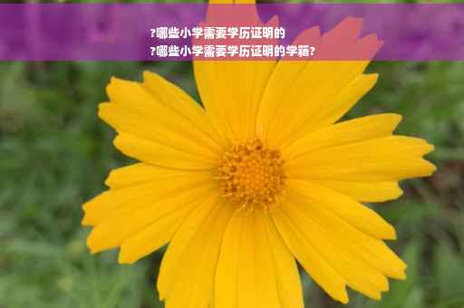 ?哪些小学需要学历证明的
?哪些小学需要学历证明的学籍?