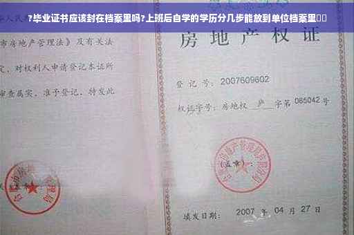 ?毕业证书应该封在档案里吗?上班后自学的学历分几步能放到单位档案里⚡️