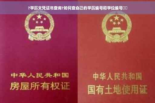 ?学历文凭证书查询?如何查自己的学历编号和学位编号⚡️