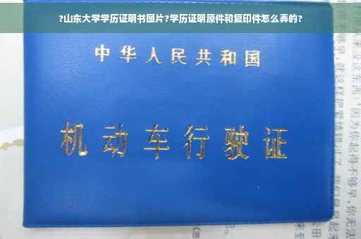 ?山东大学学历证明书图片?学历证明原件和复印件怎么弄的?