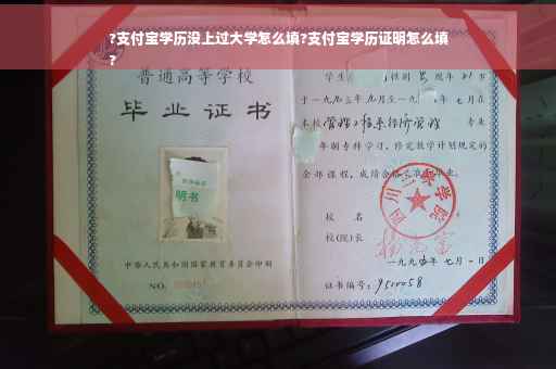 ?支付宝学历没上过大学怎么填?支付宝学历证明怎么填
?