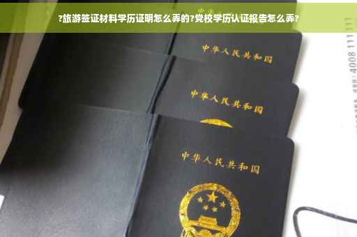 ?旅游签证材料学历证明怎么弄的?党校学历认证报告怎么弄?