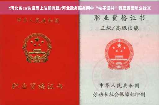 ?河北省ca认证网上注册流程?河北政务服务网中“电子证书”管理页面怎么找⚡️