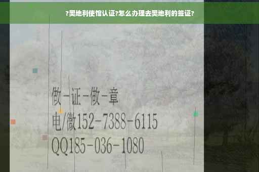 ?奥地利使馆认证?怎么办理去奥地利的签证?