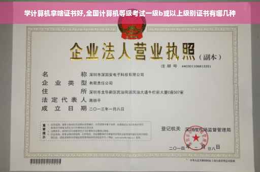 学计算机拿啥证书好,全国计算机等级考试一级b或以上级别证书有哪几种