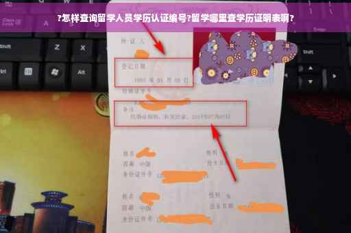 ?怎样查询留学人员学历认证编号?留学哪里查学历证明表啊?