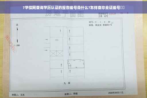 ?学信网查询学历认证的报告编号是什么?怎样查毕业证编号⚡️