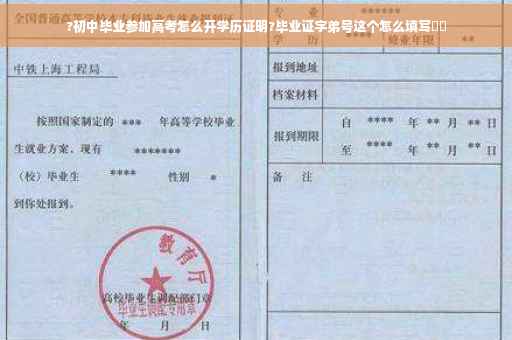 ?初中毕业参加高考怎么开学历证明?毕业证字弟号这个怎么填写⚡️