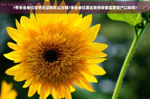 ?考事业单位没学历证明怎么办理?事业单位面试资格审查需要带户口本吗?