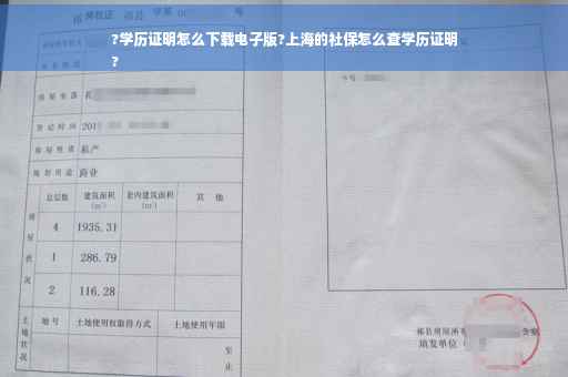 ?学历证明怎么下载电子版?上海的社保怎么查学历证明
?